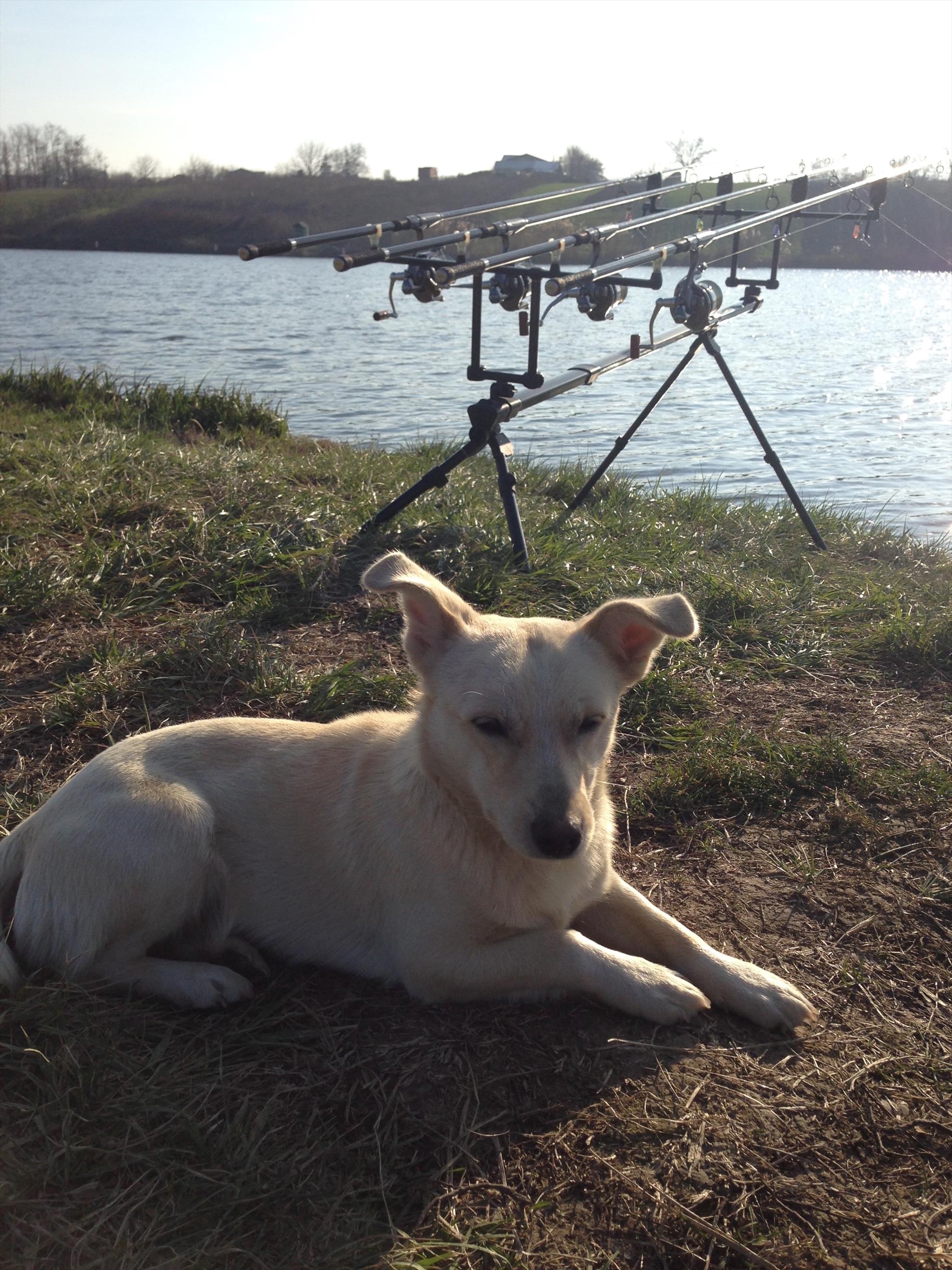 moara ian 2014 - img1722.jpg